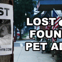 Lost and Found Pet Ads